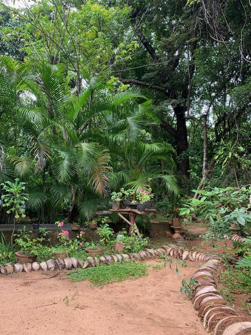 Manju Homestay Сигирия Экстерьер фото