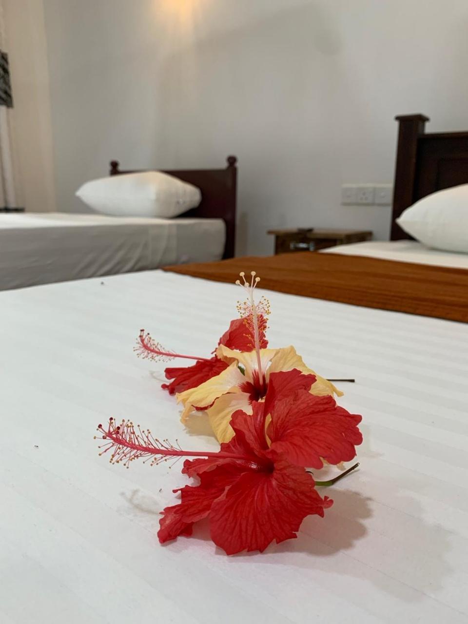 Manju Homestay Сигирия Экстерьер фото