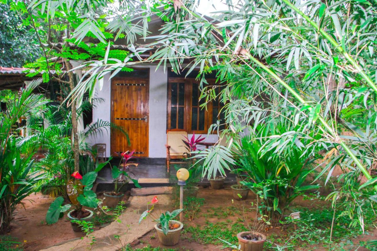 Manju Homestay Сигирия Экстерьер фото